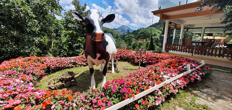 Sítio Vaca do Brejo | Casa na Serra | Brejal | Petrópolis